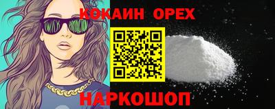 индика Будённовск