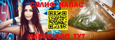 индика Будённовск