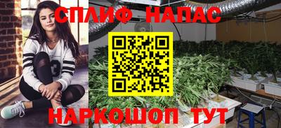 индика Будённовск