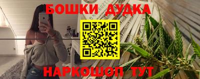 индика Будённовск
